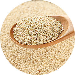 health-larder_quinoa